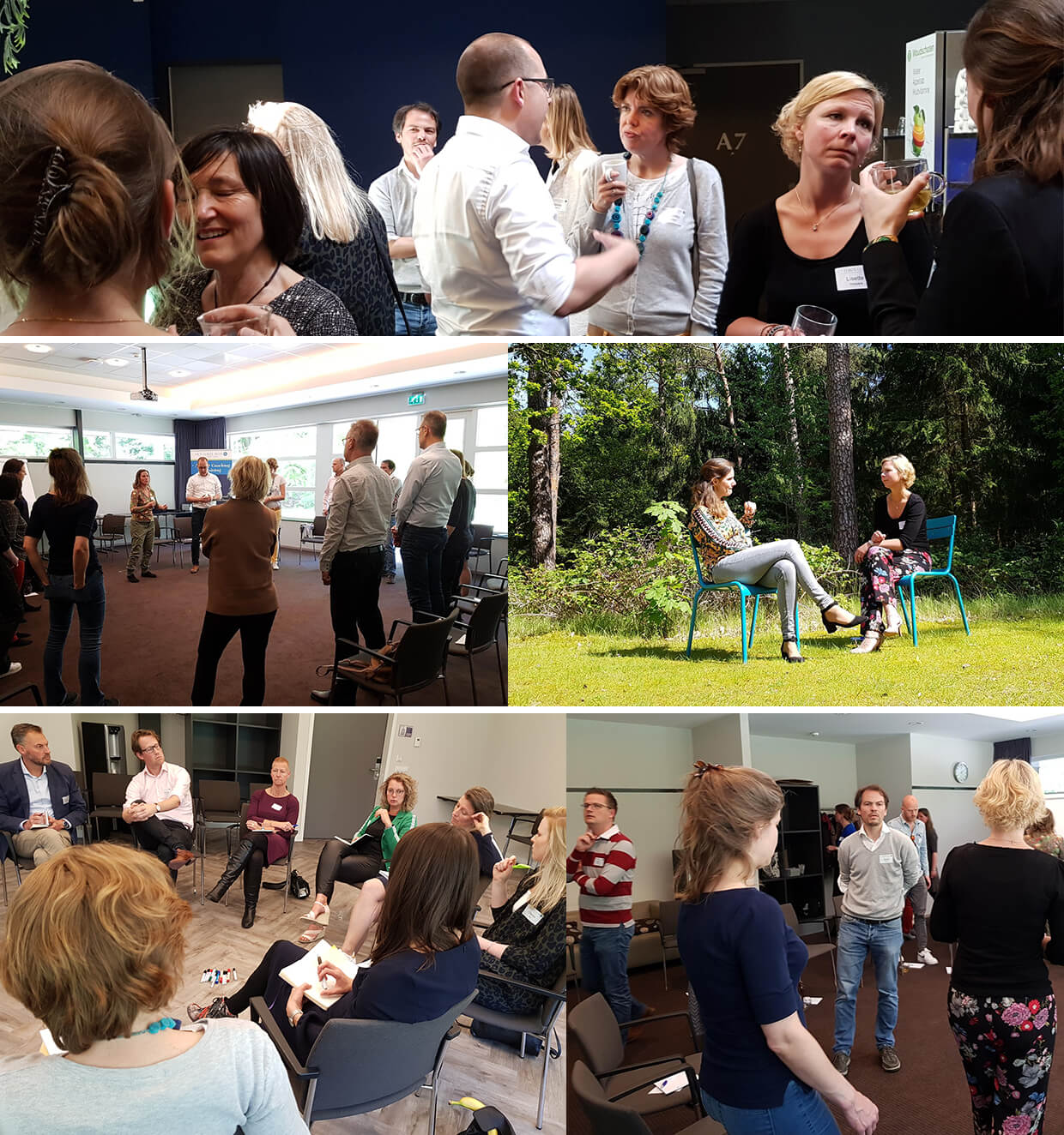 Collage-HetOpenHuis-1 (1)