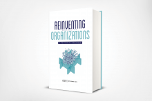 Reinventing Organizations Mockup (1)