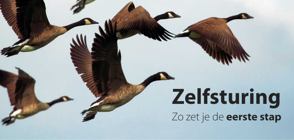 Zelfsturing (1)