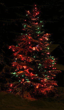 kerstboom (1)