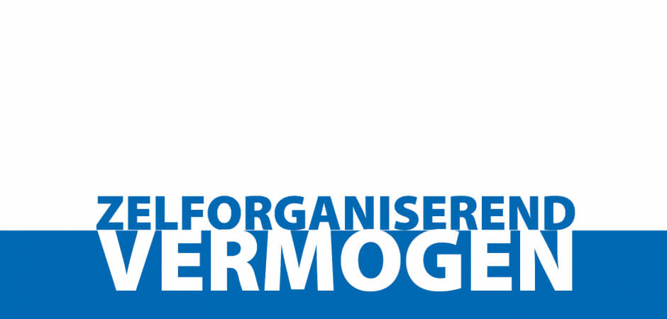 Pas jij in een zelforganiserende werkcontext? Zelforganiserend vermogen