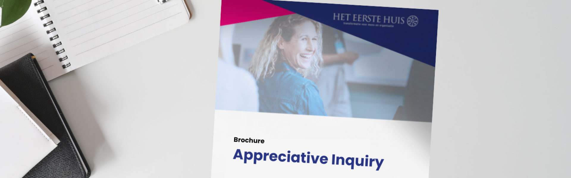brochure appreciative inquiry (1)